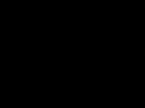 BIGPINKBYRD online show from 29, 10, 2025