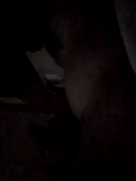 BIGPINKBYRD online show from 22, 4, 2026