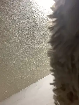 talitasilvx online show from 18, 3, 2025