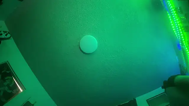 Snapshot of bukkakebae1 chatting on 3, 11, 2025 bukkakebae1 online show from 3, 11, 2025