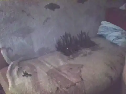 Bigheadxxx1 online show from 19, 12, 2025