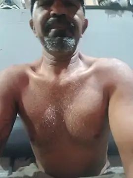 Sergipano fogozinho online show from 7, 7, 2026