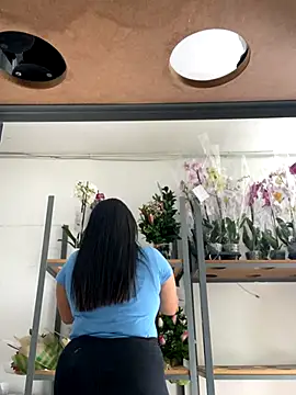 PUSHYLATE online show from 29, 11, 2025