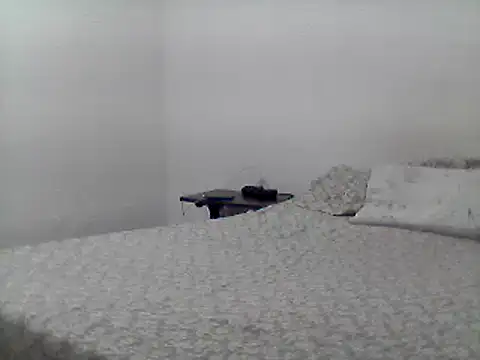 mariy  online show from 26, 2, 2025