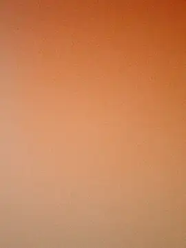 zhenzhen521 online show from 9, 11, 2025