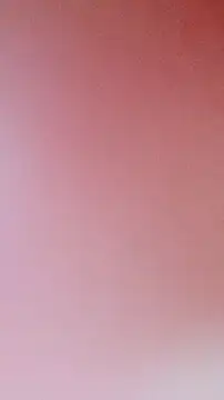 zhenzhen521 online show from 22, 11, 2025