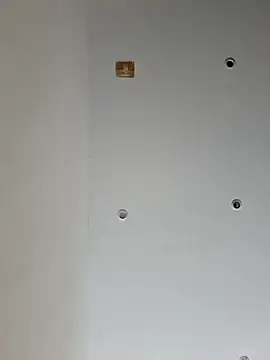 wedge75 online show from 17, 1, 2026