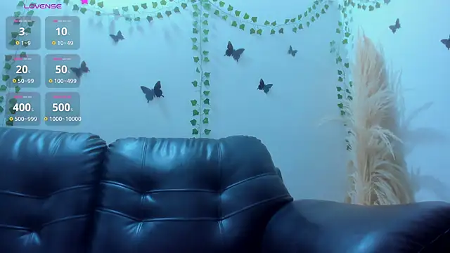 Amani Bakir online show from 17, 12, 2025