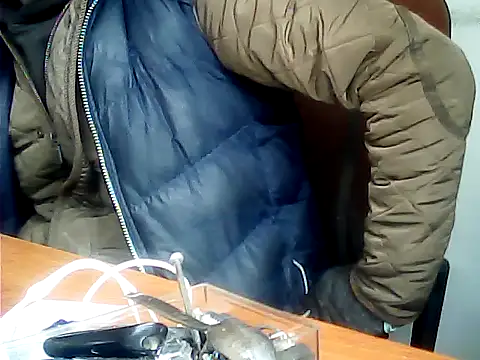 zormen355 online show from 1, 12, 2025