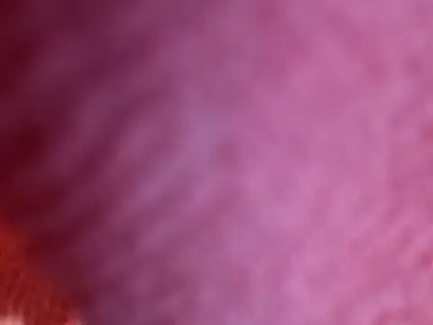 Amarok39 online show from 18, 10, 2025