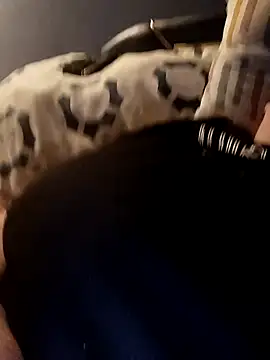 poussychats online show from 4, 1, 2025