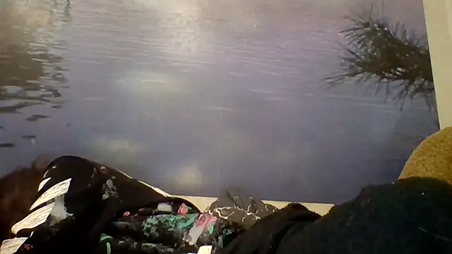 AliceTailor online show from 14, 1, 2026