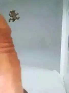 MATTIS11 online show from 22, 10, 2025