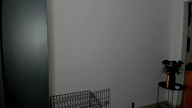 Patricia bloom online show from 6, 3, 2026