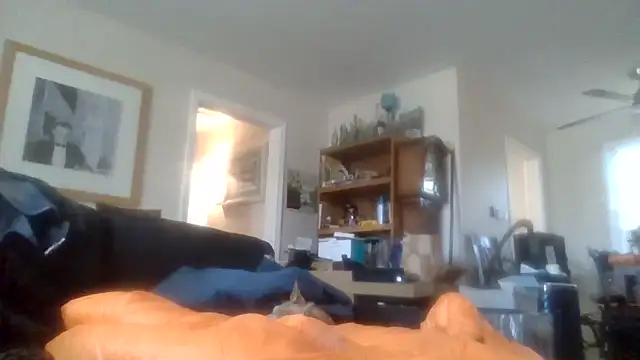 den-rock4u online show from 1, 12, 2025