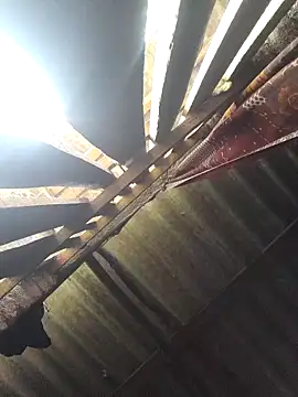 Snapshot of HotSexyBoudi chatting on 7, 10, 2025 HotSexyBoudi online show from 7, 10, 2025