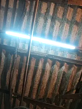 HotSexyBoudi online show from 17, 12, 2025