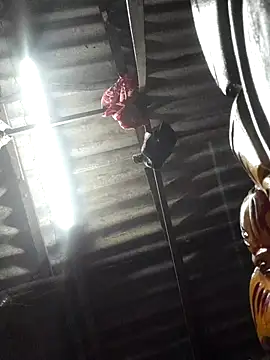 Snapshot of HotSexyBoudi chatting on 12, 11, 2025 HotSexyBoudi online show from 12, 11, 2025