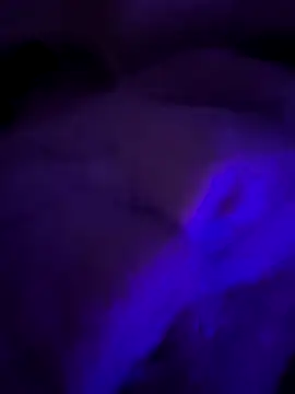 Porkocazzone online show from 11, 1, 2026