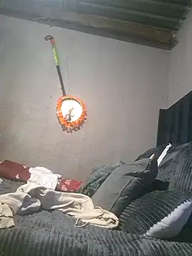 Petrossa online show from 6, 3, 2026