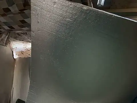 trash4cash online show from 7, 2, 2026