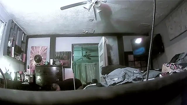 trash4cash online show from 17, 3, 2026