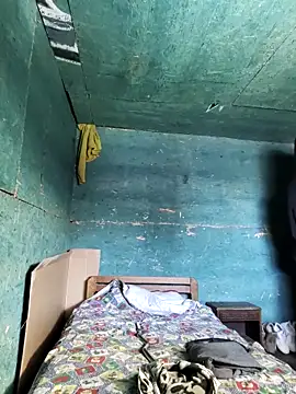 Rikipollav online show from 1, 4, 2026