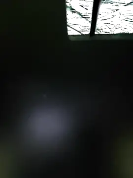 Rikipollav online show from 29, 4, 2026