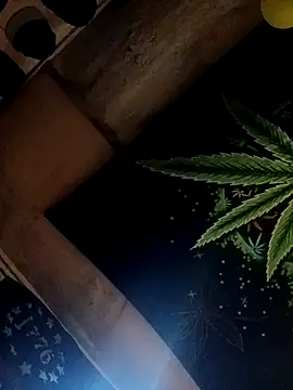 ySqmbVanbe online show from 17, 10, 2025