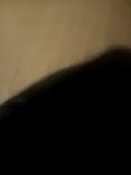 ySqmbVanbe online show from 29, 11, 2025