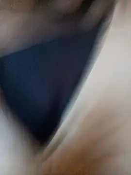 ySqmbVanbe online show from 11, 11, 2025