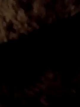 ySqmbVanbe online show from 7, 3, 2026