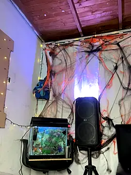 sweet kamil online show from 31, 10, 2025