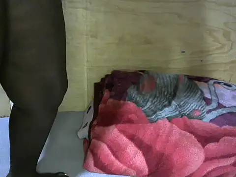 AFRICAN ASS001 online show from 30, 6, 2026