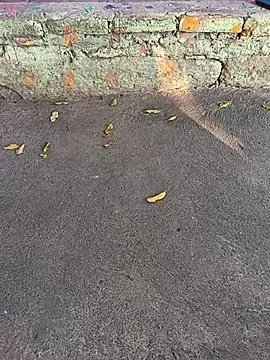 Nathan mason  online show from 10, 3, 2025