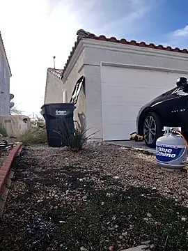 FloppyPickle4u online show from 13, 1, 2026