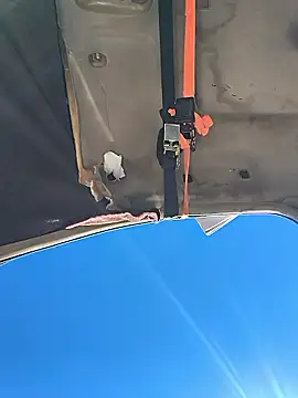 FloppyPickle4u online show from 3, 3, 2026