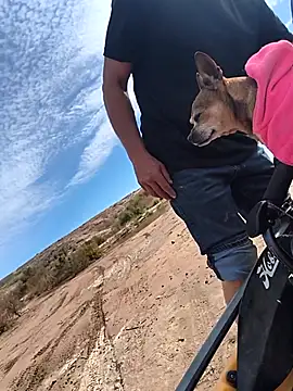 FloppyPickle4u online show from 12, 2, 2026