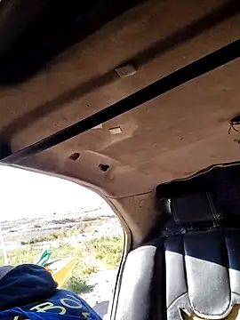 FloppyPickle4u online show from 9, 1, 2026