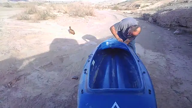 FloppyPickle4u online show from 20, 12, 2025