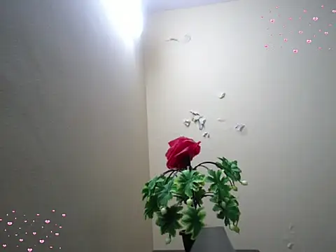 Snapshot of Arushisingh8888 chatting on 18, 12, 2025 Arushisingh8888 online show from 18, 12, 2025