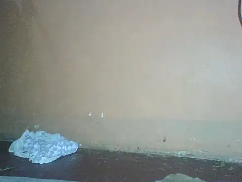 Naivegirrl online show from 2, 12, 2025