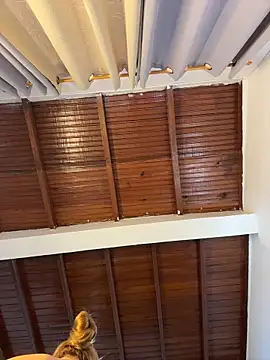 emiss  online show from 4, 4, 2026