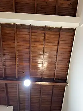 emiss  online show from 4, 2, 2026