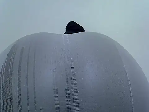 doctor deee online show from 28, 2, 2026