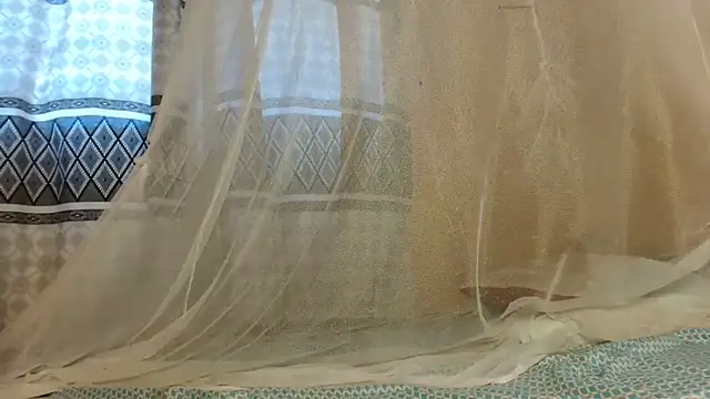 titi fiesta online show from 6, 2, 2026