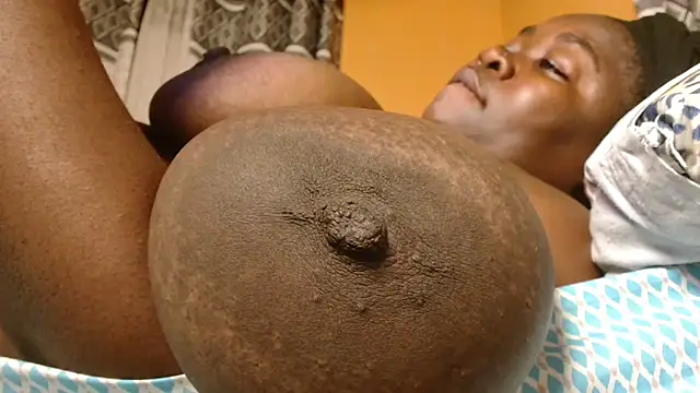 titi fiesta online show from 5, 2, 2026