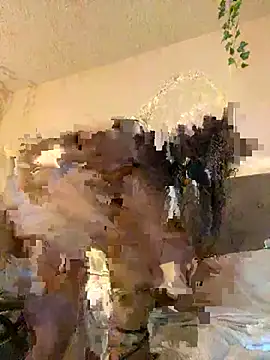 magicalc00ch online show from 12, 2, 2025