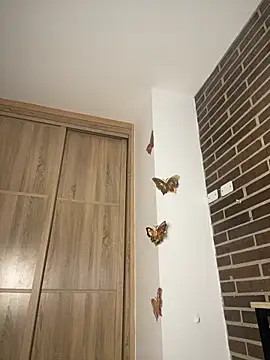 6nalanie online show from 12, 3, 2026