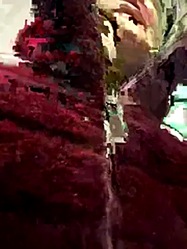 casalinga88 online show from 16, 12, 2025